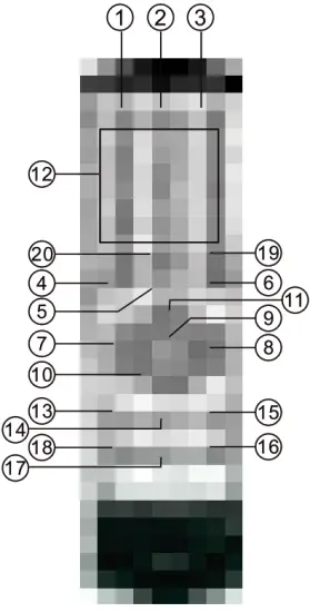 BabYoung A77 Portable Bluetooth Speakerreamote control