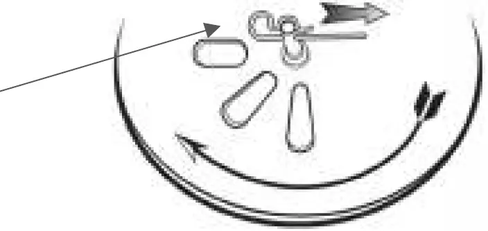 EARTHWAY 2170 Commercial Broadcast Spreader 21