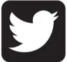Twitter Icon