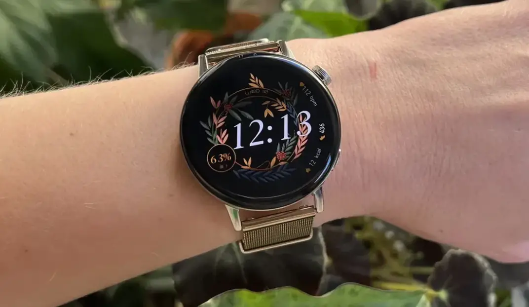 Huawei Mil-b19 Gt3 Gold Mesh Watch User Guide