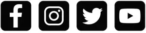 Social Media Icons
