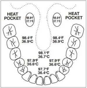 Oral Temperature