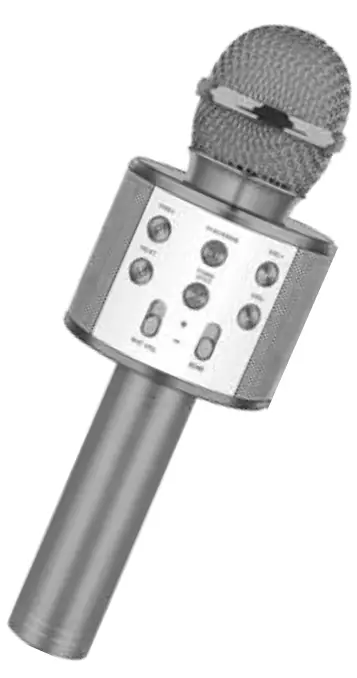 Vibe DG KRK Karaoke Wireless Mic Built In Speaker