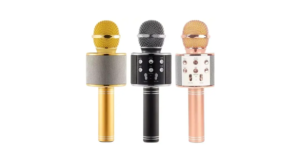 Vibe Dg-krk Karaoke Wireless Mic + Built-in Speaker User Manual