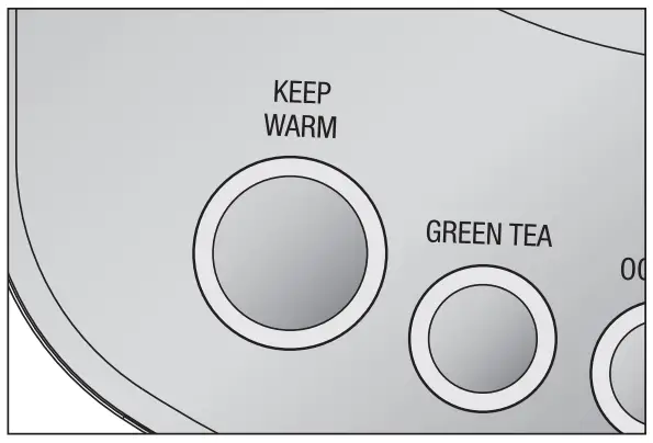Breville LKE842 TempSet Kettle-KEEP WARM FUNCTION