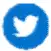 Twitter Icon