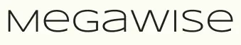 Megawise-logo