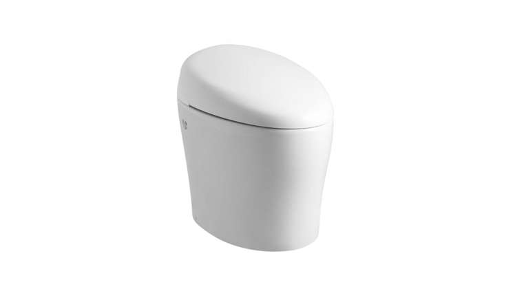 Kohler Karing Intelligent Toilet User Guide