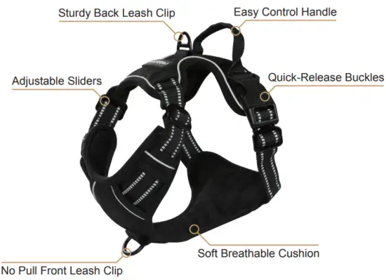 rabbitgoo DTCW006L Dog Harness