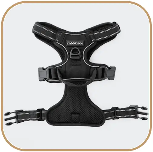 rabbitgoo DTCW006L Dog Harness - FIG 2