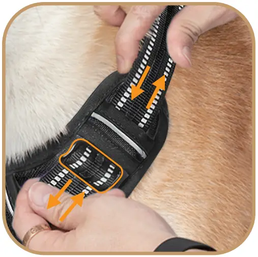 rabbitgoo DTCW006L Dog Harness - FIG 5