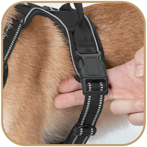 rabbitgoo DTCW006L Dog Harness - FIG 7
