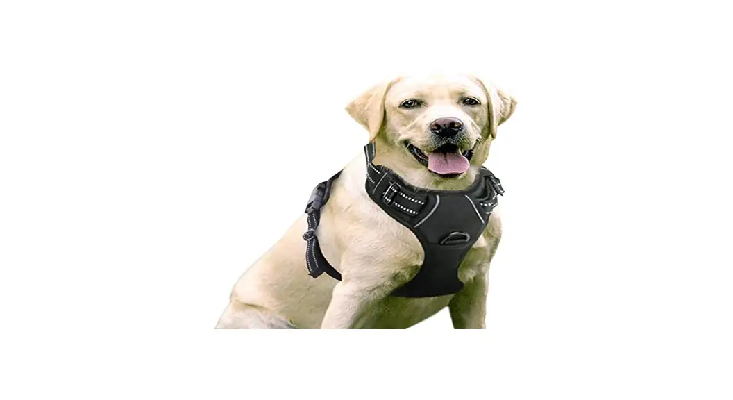 Rabbitgoo Dtcw006l Dog Harness User Guide Rabbitgoo Dtcw006l Dog Harness User Guide
