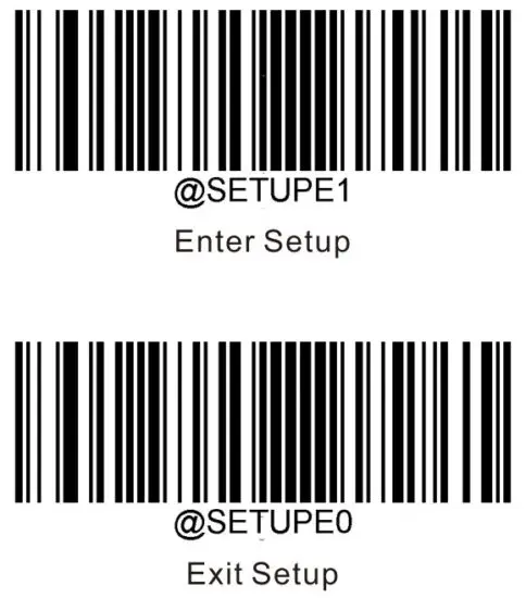 FIG 3 Enter or Exit Setup.JPG