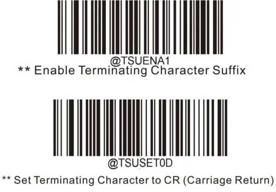 FIG 7 Terminating Character Suffix.JPG