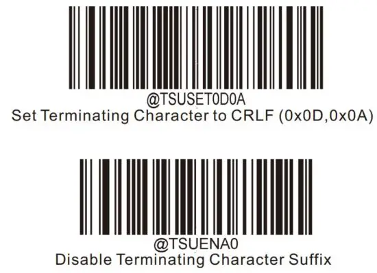 FIG 8 Terminating Character Suffix.JPG