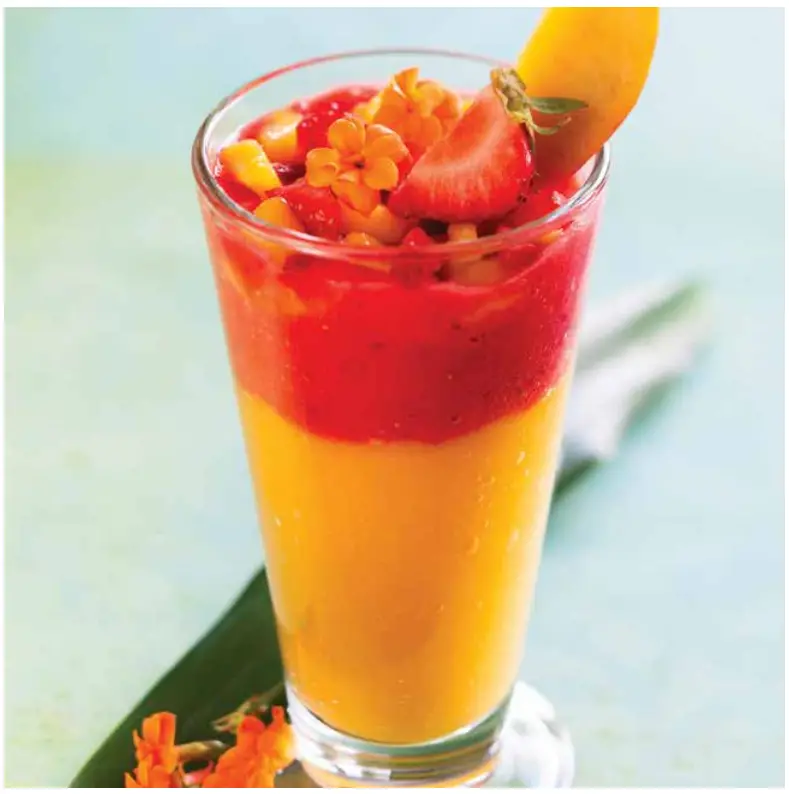 NINJA SS151 TWIST HIGH-SPEED BLENDER DUO FIG 6