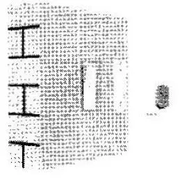 Safeguard-Supply-SS250-Self-Powered-Wireless-Doorbell-4