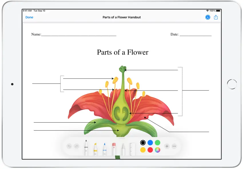 Apple Schoolwork Powerful iPad App - Fig 31