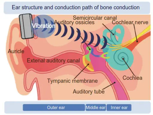 CODEON Bone Conduction Headphones - About Bone Conduction