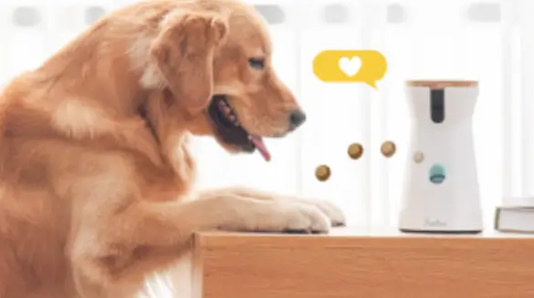 Furbo-Furbo3-Dog-Camera-user-guide (1)