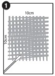 hygiena AllerSnap Allergen Detection - Directions