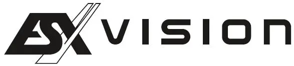 VISION logo