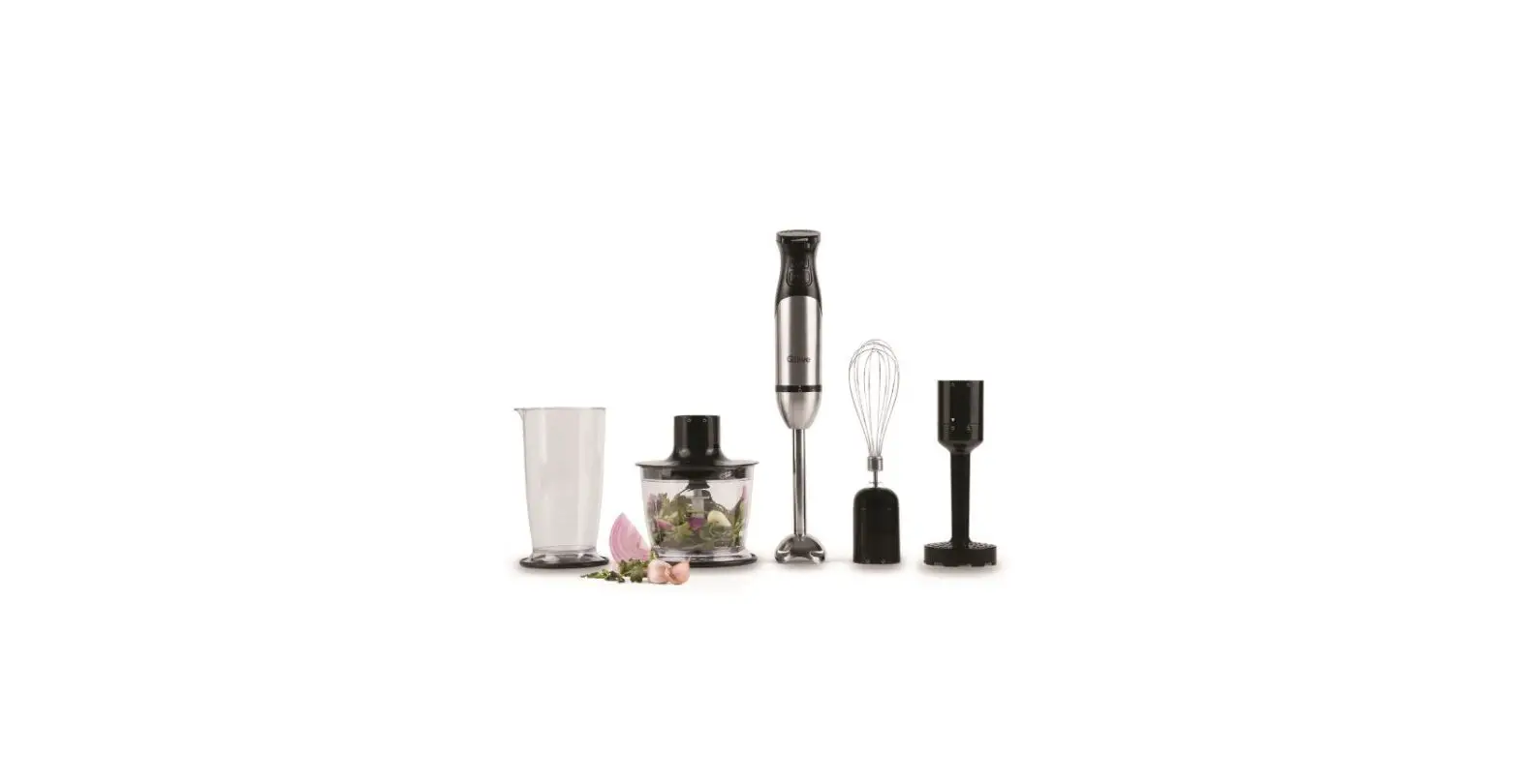 Qilive Q.5742 Hand Blender User Manual