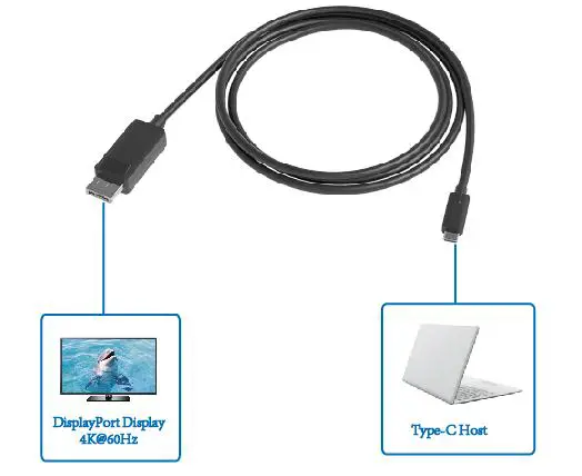 CableCreation CD0749 USB C to DisplayPort Cable - ONNECTION DIAGRAM