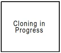 BK TECHNOLOGIES BKR0701 Cloning Cable Adapter - Cloning in