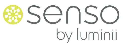 senso LETO -logo