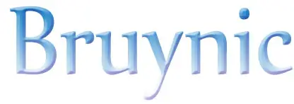 Bruynic-logo