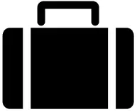 POLTI FORZASPIRA D-POWER SR550 Handheld Vacuum Cleaner Grey Green - icon