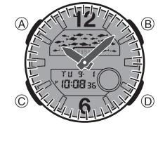 CASIO Watch 5627 - Illumination