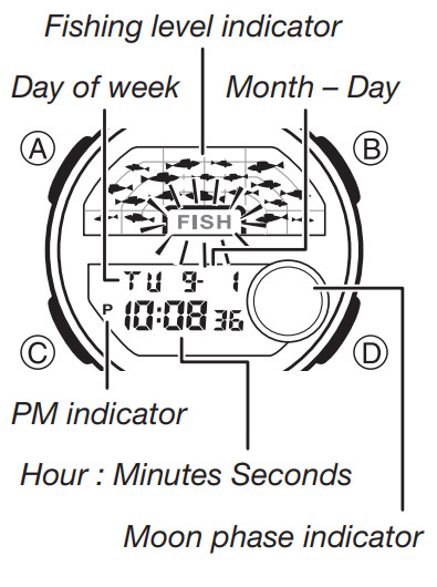 CASIO Watch 5627 - Timekeeping