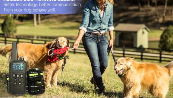 Shenzhen Hongxiangfu Technology 880 Dog Trainer Collar User Manual Shenzhen Hongxiangfu Technology 880 Dog Trainer Collar User Manual