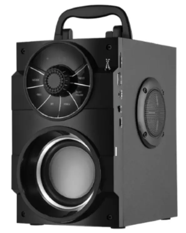 Shenzhen Bebiyang Technology S37 21 Inch Portable Wireless Speaker