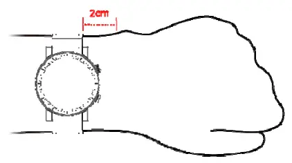 Shanghai Taiji Software TEW02 OYV Smart Watch - rist watce