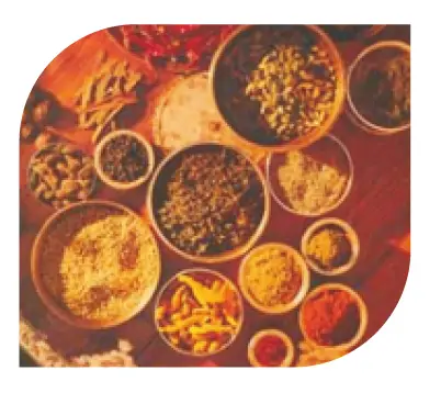 Preethi MG-150 -750- Watt- Mixer -Grinder -10