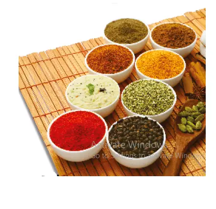 Preethi MG-150 -750- Watt- Mixer -Grinder -14