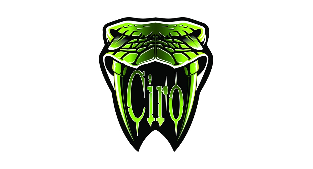 Ciro G0050002 Wireless Fast Charger User Manual