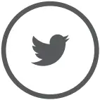 1640850562714 - Twitter