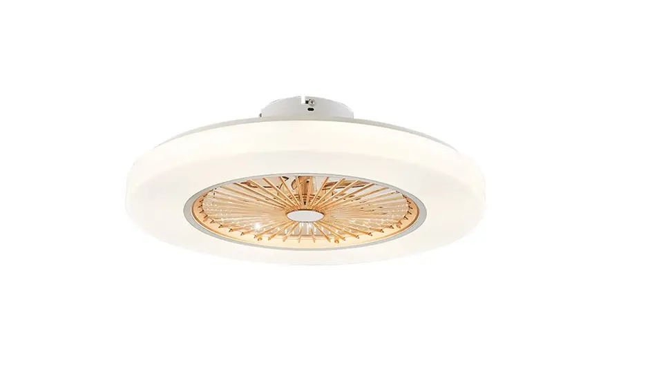 Zhongshan Bitop Intelligent Control Technology Bt001 2.4g-smart Fan Light Controller Instruction Manual