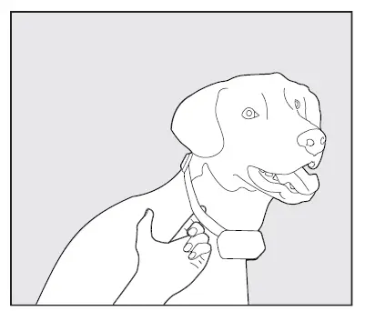 PATPET-T710-Training-Collars-15