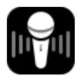 Recorder Icon