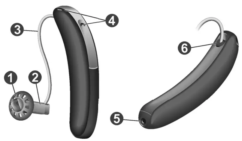 Components and names