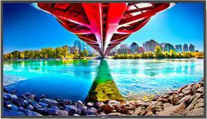 NEC ME551 MultiSync 55" Class HDR 4K UHD LED