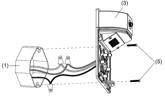 Feed the junction box