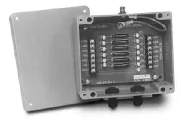 RICE LAKE UJB3T6 DC Transient Protector Wiring pro