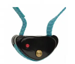 a close up of a mouse